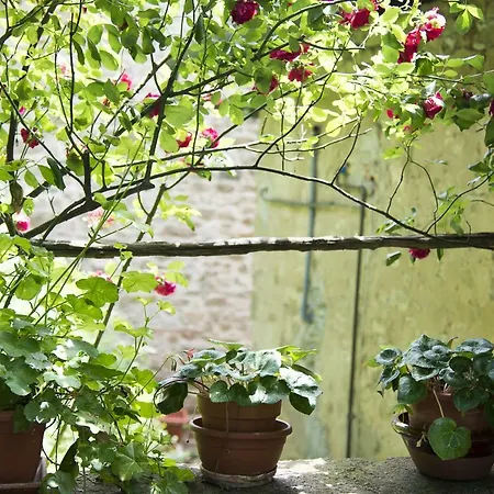 Le Scalette A Relaxing Oasis Near Florence Apartment *