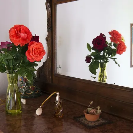 Le Scalette A Relaxing Oasis Near Florence Apartment